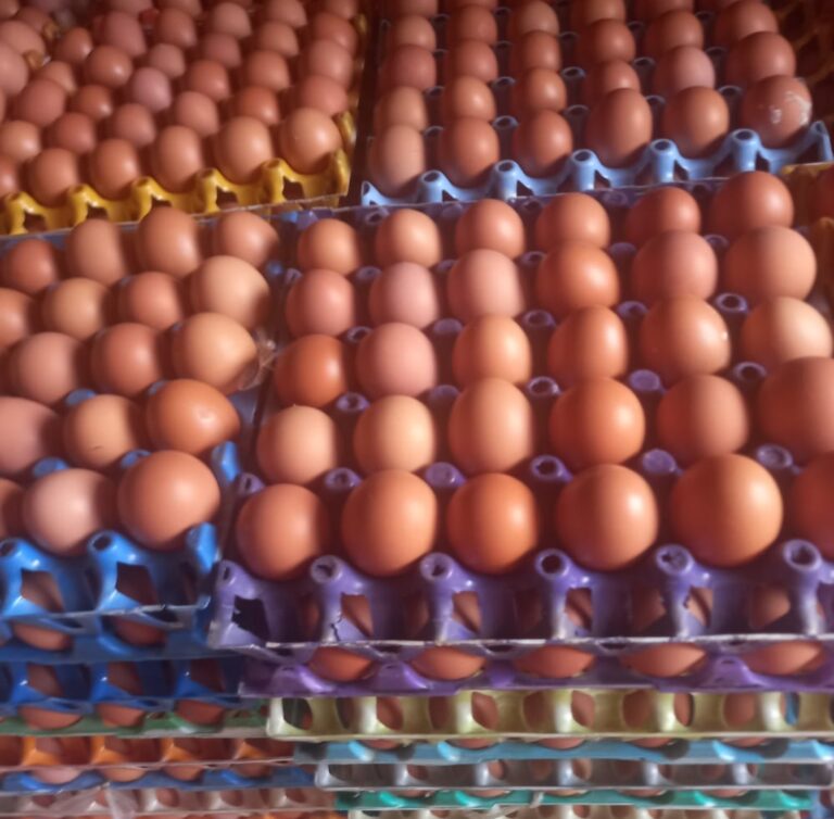 crate of eggs