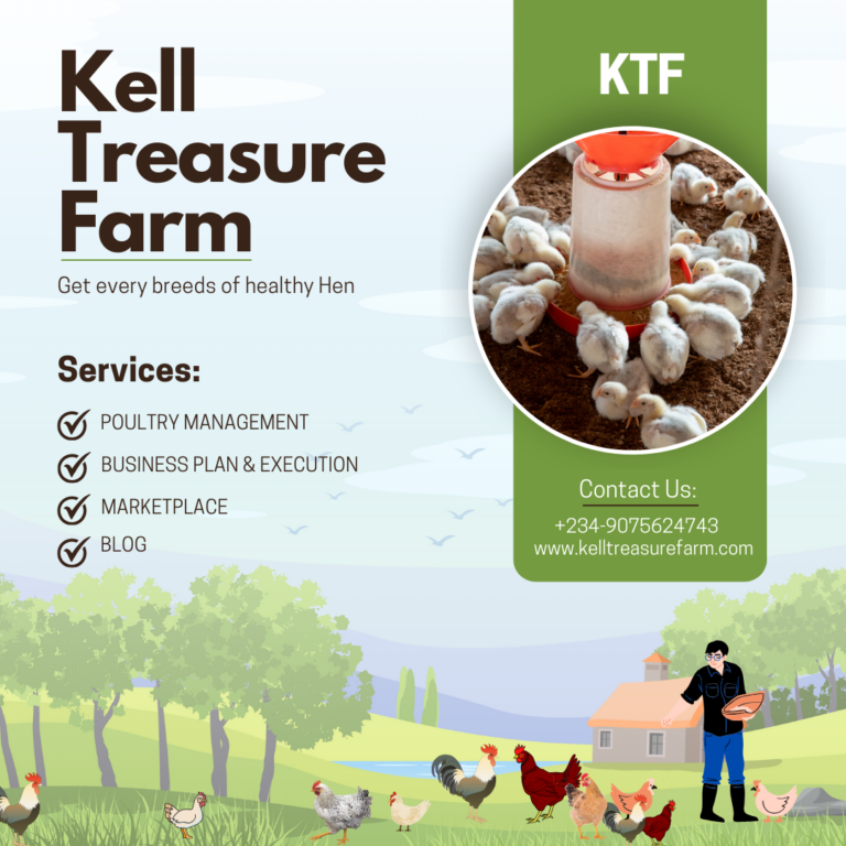 Kell Treasure Farm 2