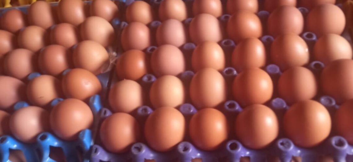 crate of eggs